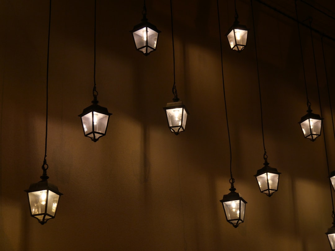 Photo swing arm wall lamps